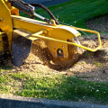 Aurora Home Selling Tips: Don't Underestimate Tree And Stump Removal